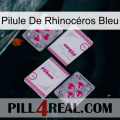 Pilule De Rhinocéros Bleu 33